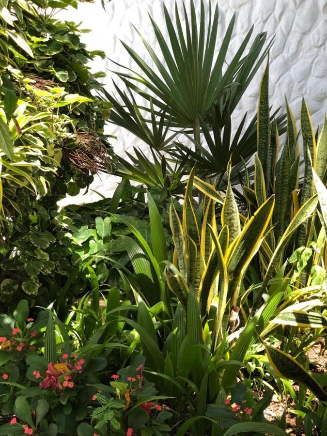 Le Castel Blanc Hotel Boutique San Andres  Luaran gambar